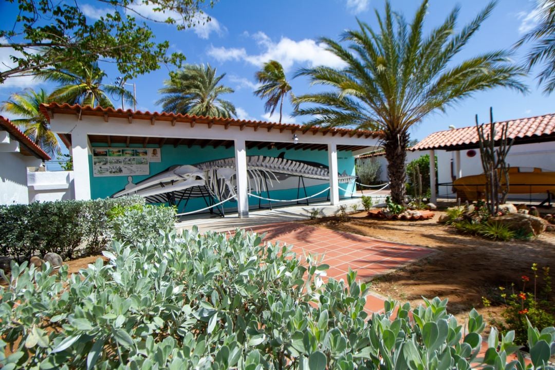 Museo Marino de Margarita